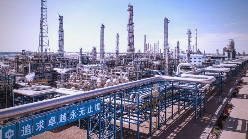 塑料原料种类解析：揭秘其多样性与应用奥秘**